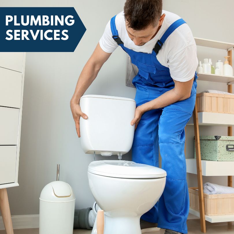 Plumbing Company in Morton, IL